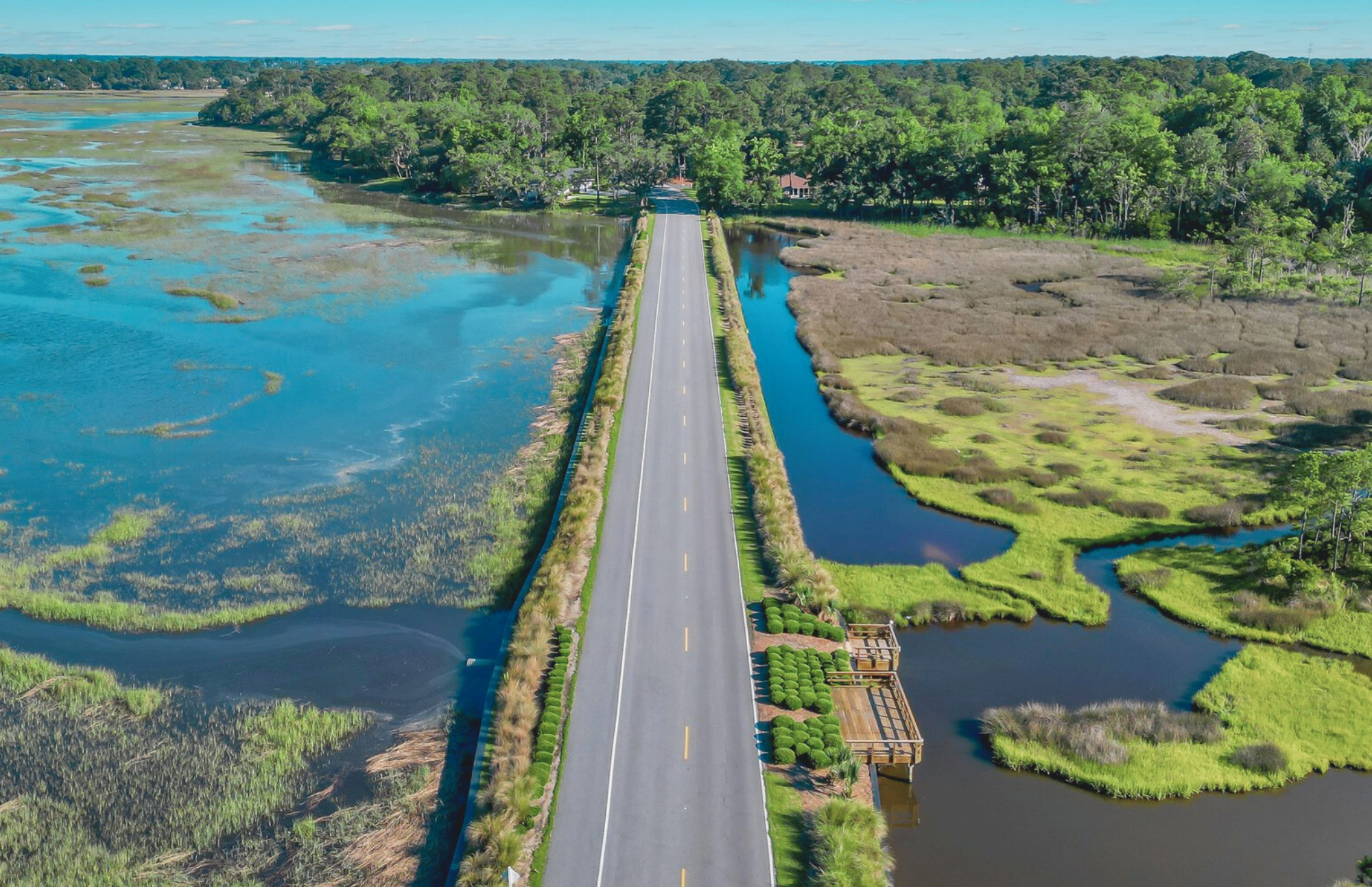 A soulful playlist capturing the rhythm, charm, and lifestyle of the Lowcountry coast.